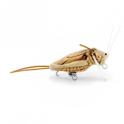 Imago grasshopper lure