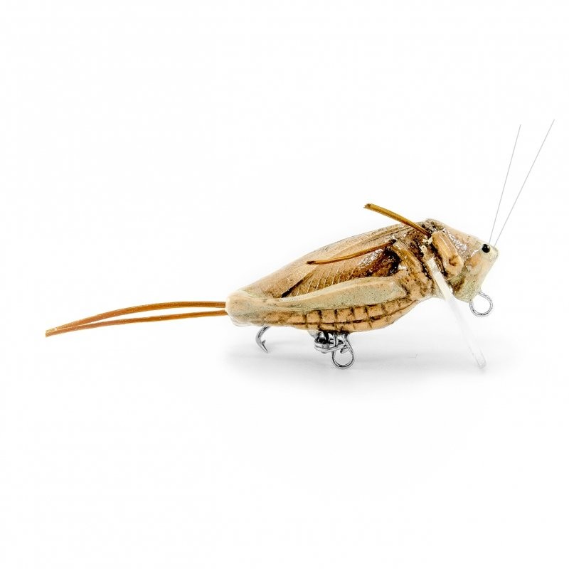Imago grasshopper lure