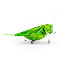 Imago grasshopper lure