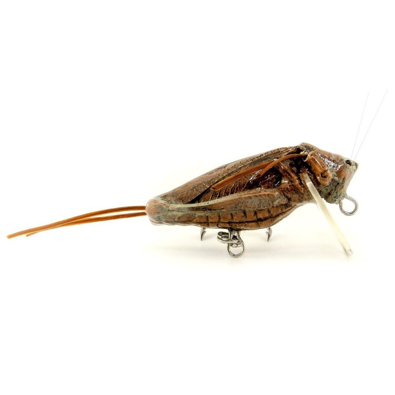 Imago grasshopper lure