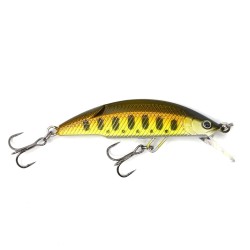 Supremo Baila 50 M Lure