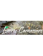 Leurres carnassiers