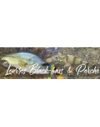 Leurres Perche et Black Bass