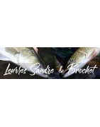 Leurres Brochet et Sandre