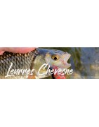 Leurres Chevesne