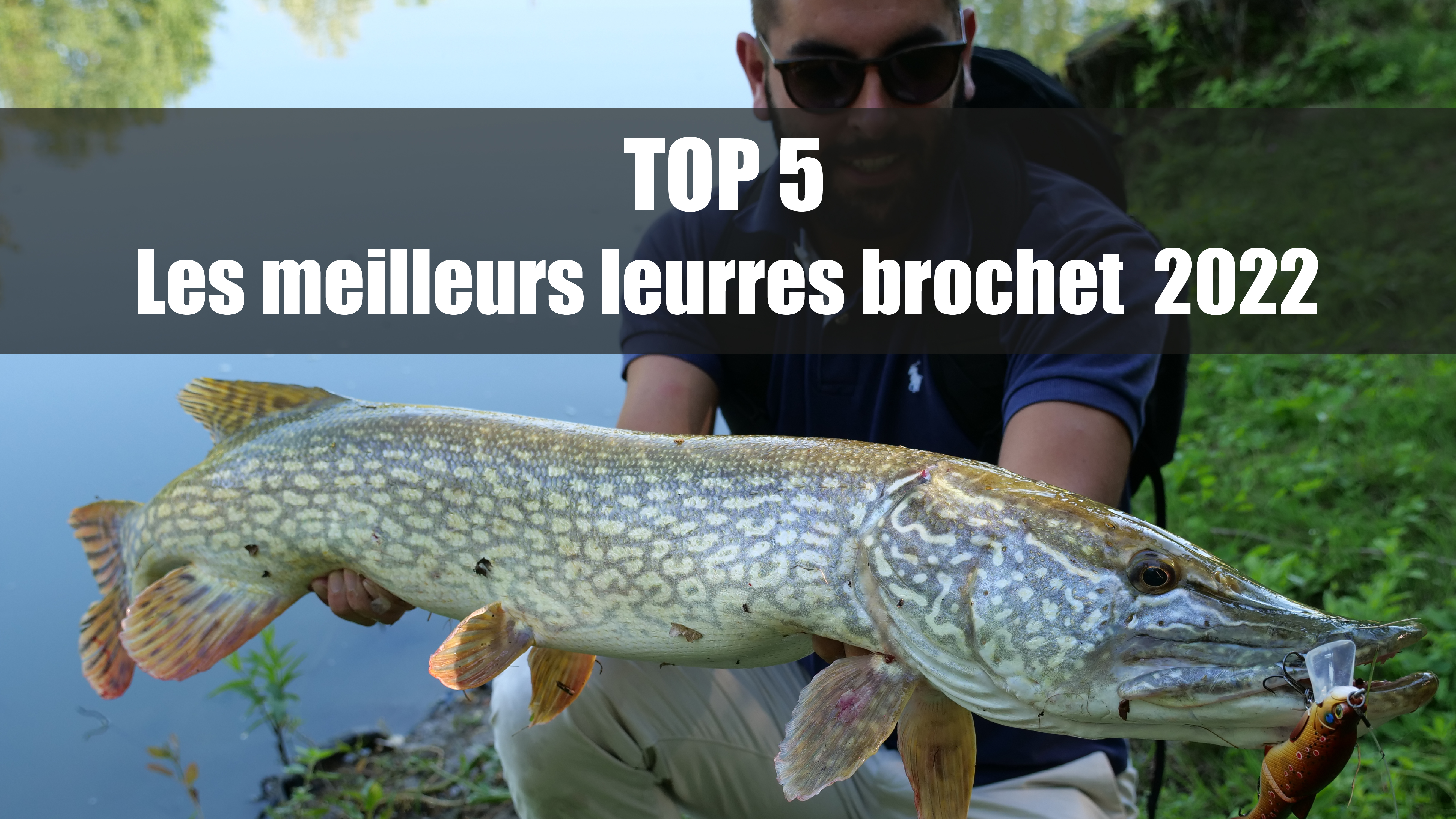 Avec quoi pêcher le brochet ? - Blog Pecheur.com