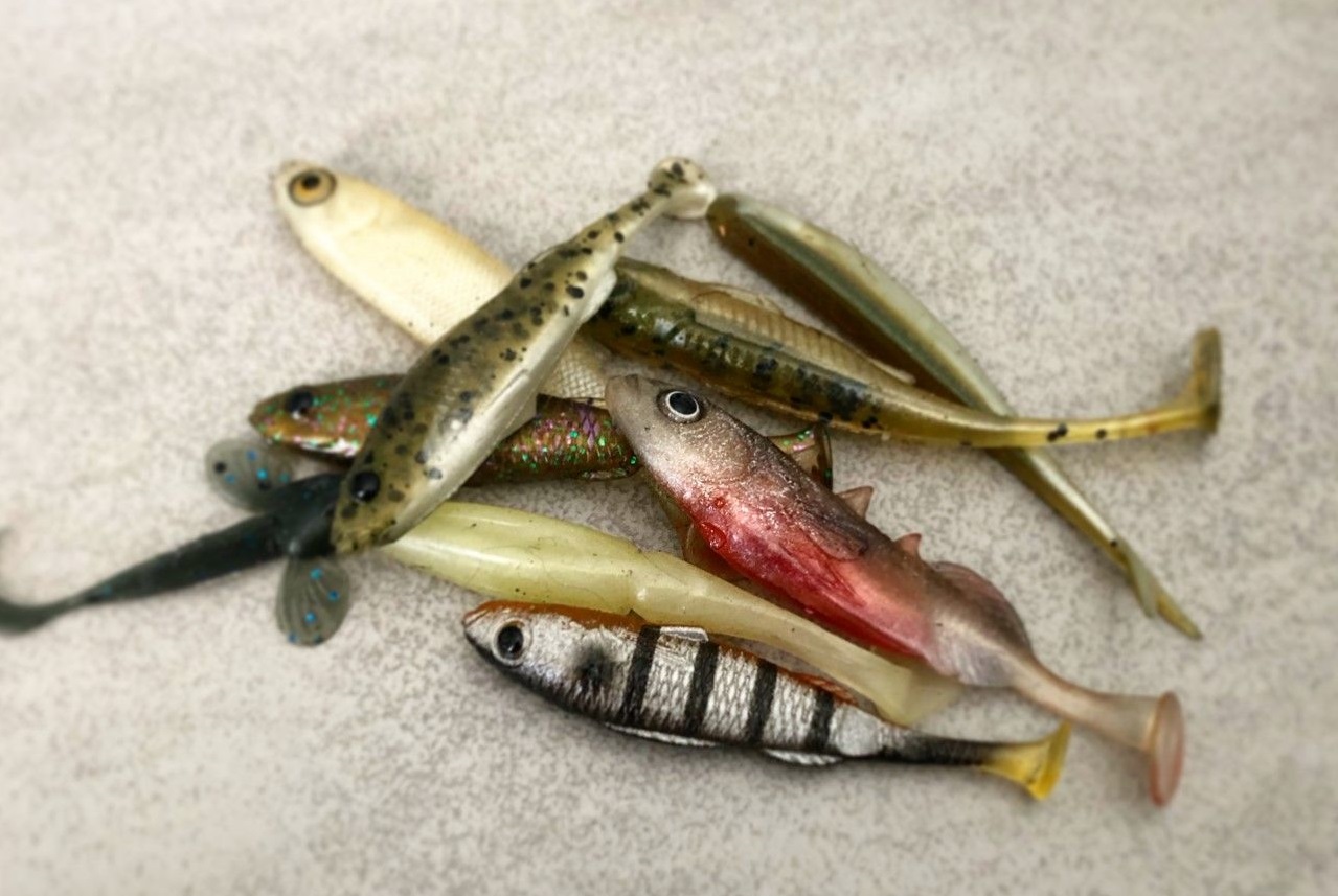 Peche Truite Au Leurre Souple