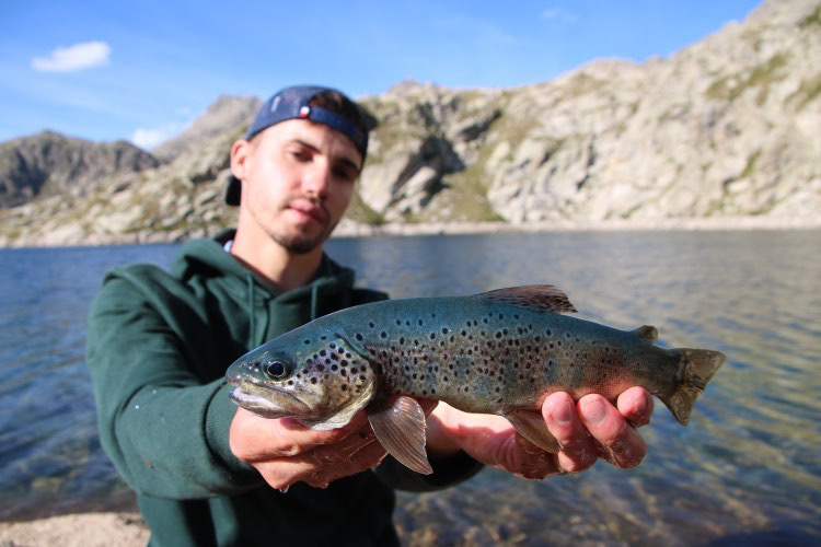 Le combo idéal pour la pêche de la truite à la cuillère ondulante