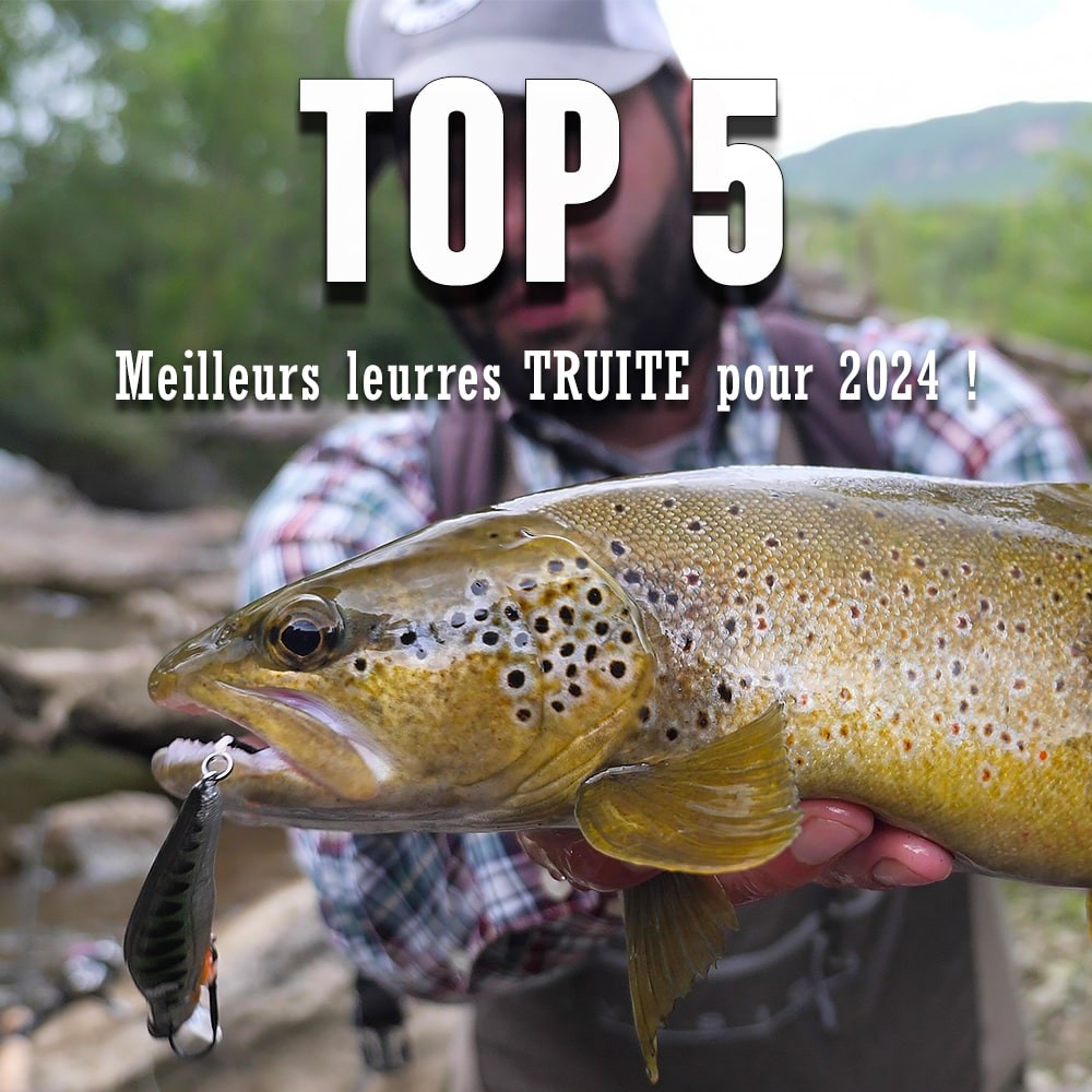 Notre Top 5 des Meilleurs Leurres pour la Pêche de la Truite en 2024