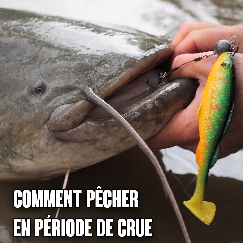 5 ASTUCES pour pêcher la TRUITE !! 