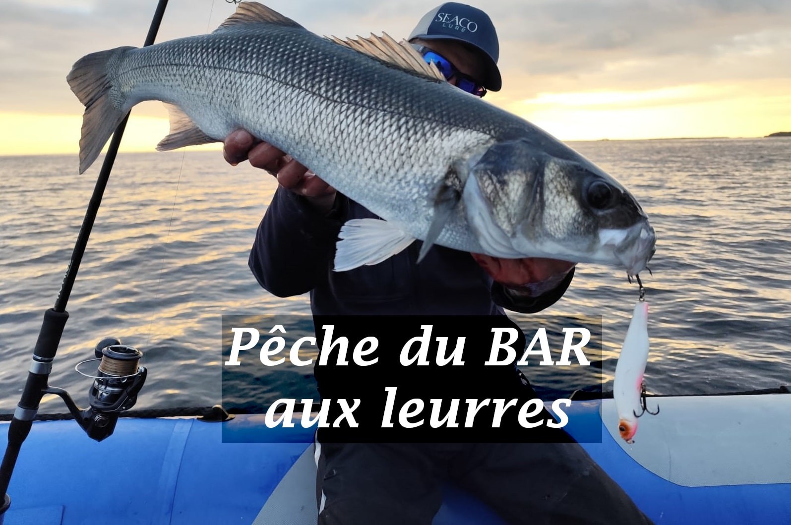 Pêche du bar aux leurres : Conseils et astuces 2025