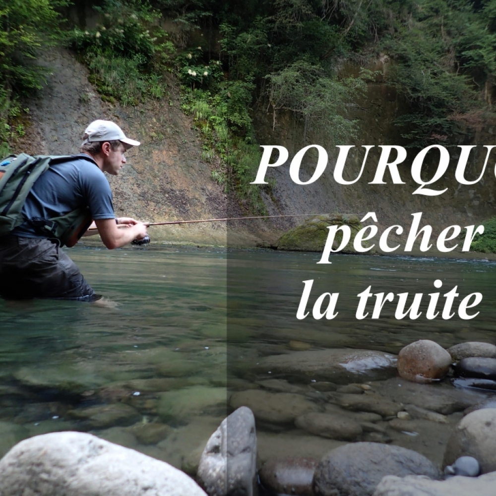 Pourquoi pêcher la truite ?