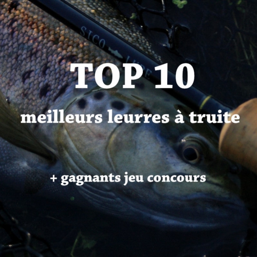 9 leurres indispensables pour pêcher le brochet à l'ouverture !