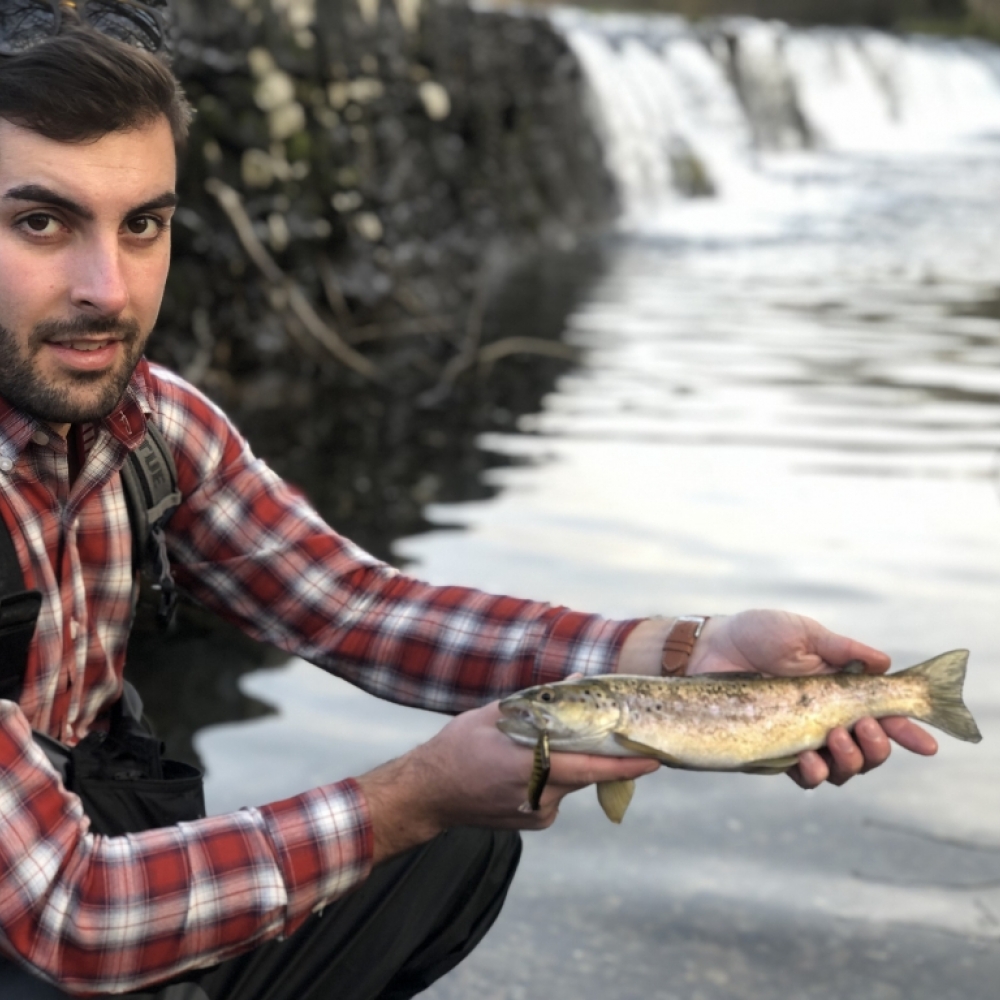 Comment pêcher la truite ? Conseils pour la pêche à la truite