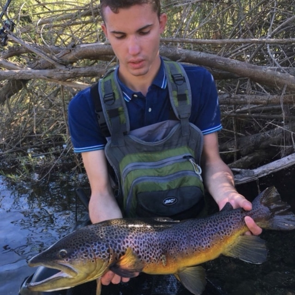 Mai-juin : la meilleure période pour la pêche de la truite !